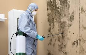 Best Forensic Mold Investigation  in Strongsville, OH